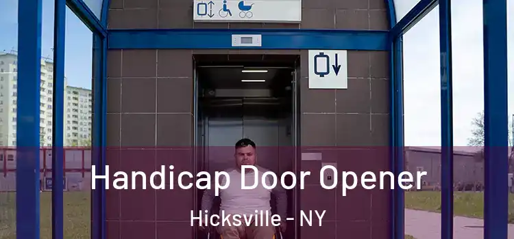 Handicap Door Opener Hicksville - NY