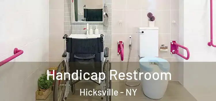 Handicap Restroom Hicksville - NY