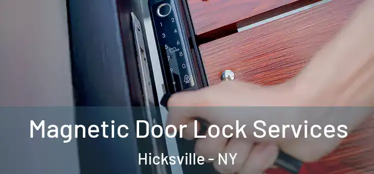 Magnetic Door Lock Services Hicksville - NY